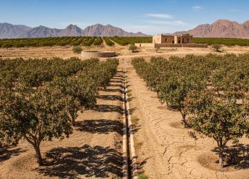 Iran Accelerates Action on Agricultural Water Crisis With New Strategy Roadmap