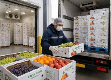  Near-Shoring Advantage: Iranian Summer Fruits Hold Geostrategic Edge in Qatar's Import-Dependent Market