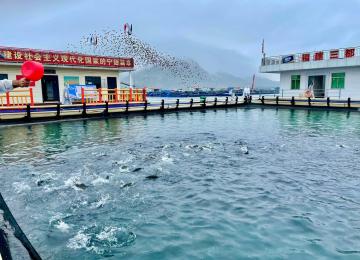 China’s Blue Revolution: What Iran Can Learn From Ningde’s Aquaculture Transformation
