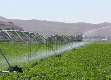 Iran Boosts Farm Output to 137m Tons Despite Severe Water Deficit