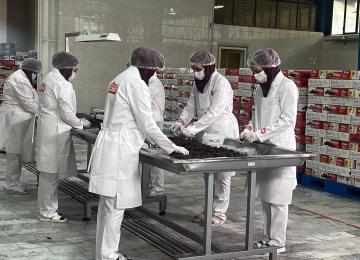 Iran to Launch 199 Agro-Processing Projects During Government Week