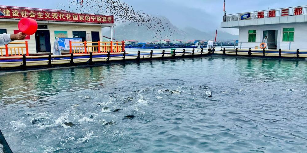 China’s Blue Revolution: What Iran Can Learn From Ningde’s Aquaculture Transformation